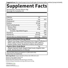 Organic Plant-Based Energy + Focus - Blackberry