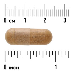 Liver Glandular