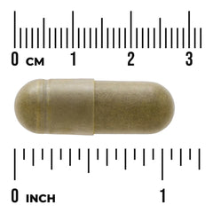 Full Spectrum Moringa Oleifera