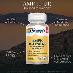 AMPK Activator with Dihydro-Berberine