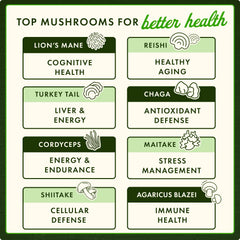 BioDefense NK+ - Mushroom Blend