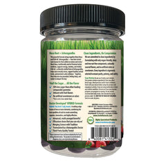 Stress-Defy Balanced Calm Focused Gummies - Mixed Berry