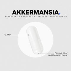 Akkermansia Probiotic & Prebiotic