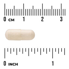 Anti-Gas Enzyme - Higher Strength