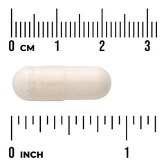 Eggshell Membrane