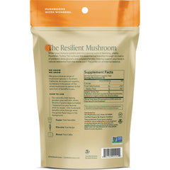 Turkey Tail Mushroom Powder
