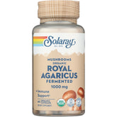 Mushrooms Organic Royal Agaricus Fermented
