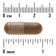 DGL Deglycyrrhizinated Licorice Root Extract - Higher Strength