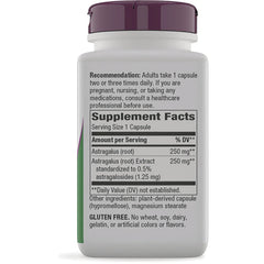 Astragalus