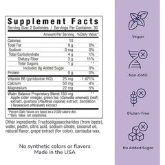 Debloat Slimming Gummies - Citrus Punch
