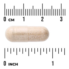 Full Spectrum Sarsaparilla Root