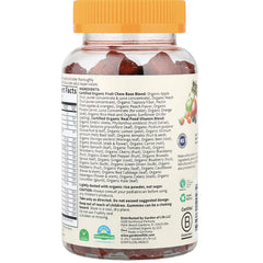Organics Kids Multi Gummies - Fruit
