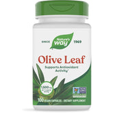 Olive Leaf