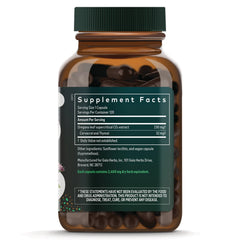 Oil of Oregano