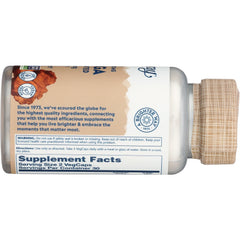 Mushrooms Chaga Fermented