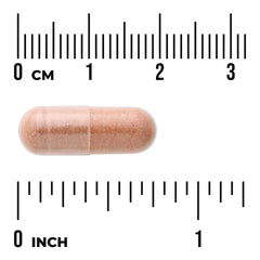Pycnogenol