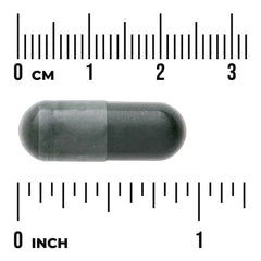 Spirulina Blue-Green Algae - Standardized