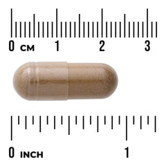 Full Spectrum Black Cohosh