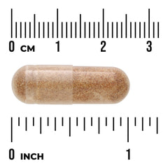 BioDefense NK+ - Mushroom Blend