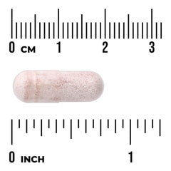 Ecklonia Cava Extract - Standardized
