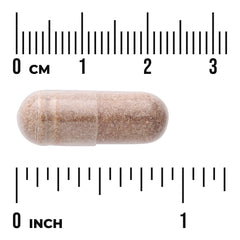 AHCC - Maximum Strength
