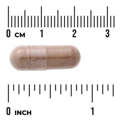 Full Spectrum Rhodiola Rosea Root