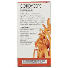 Cordyceps