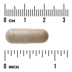 Echinacea - Standardized