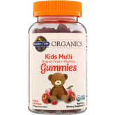 Organics Kids Multi Gummies - Fruit
