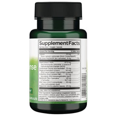 Stomach Defense Essentials with PepZinGI and Comforteze