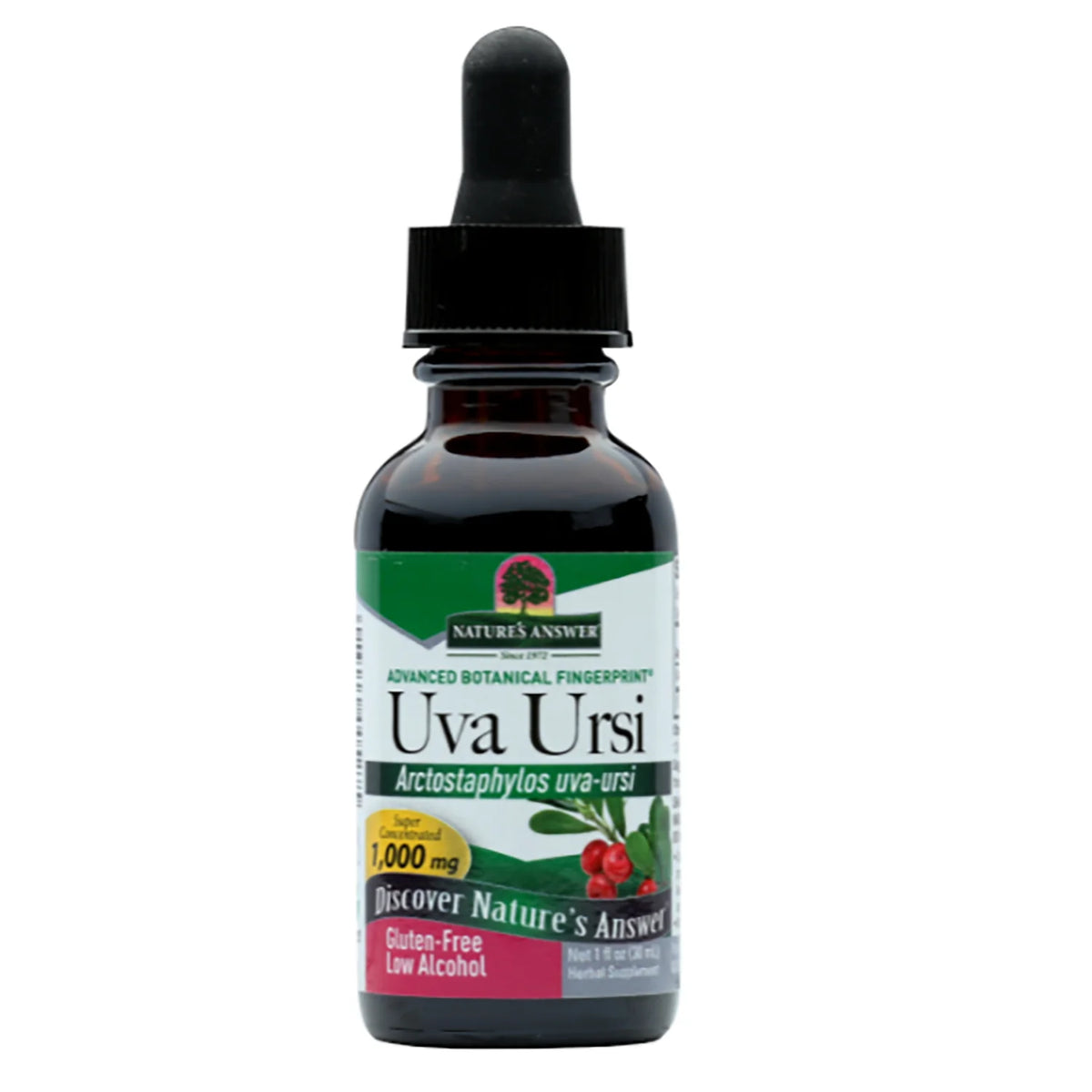 Uva Ursi