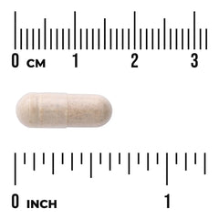 Telomere Formula