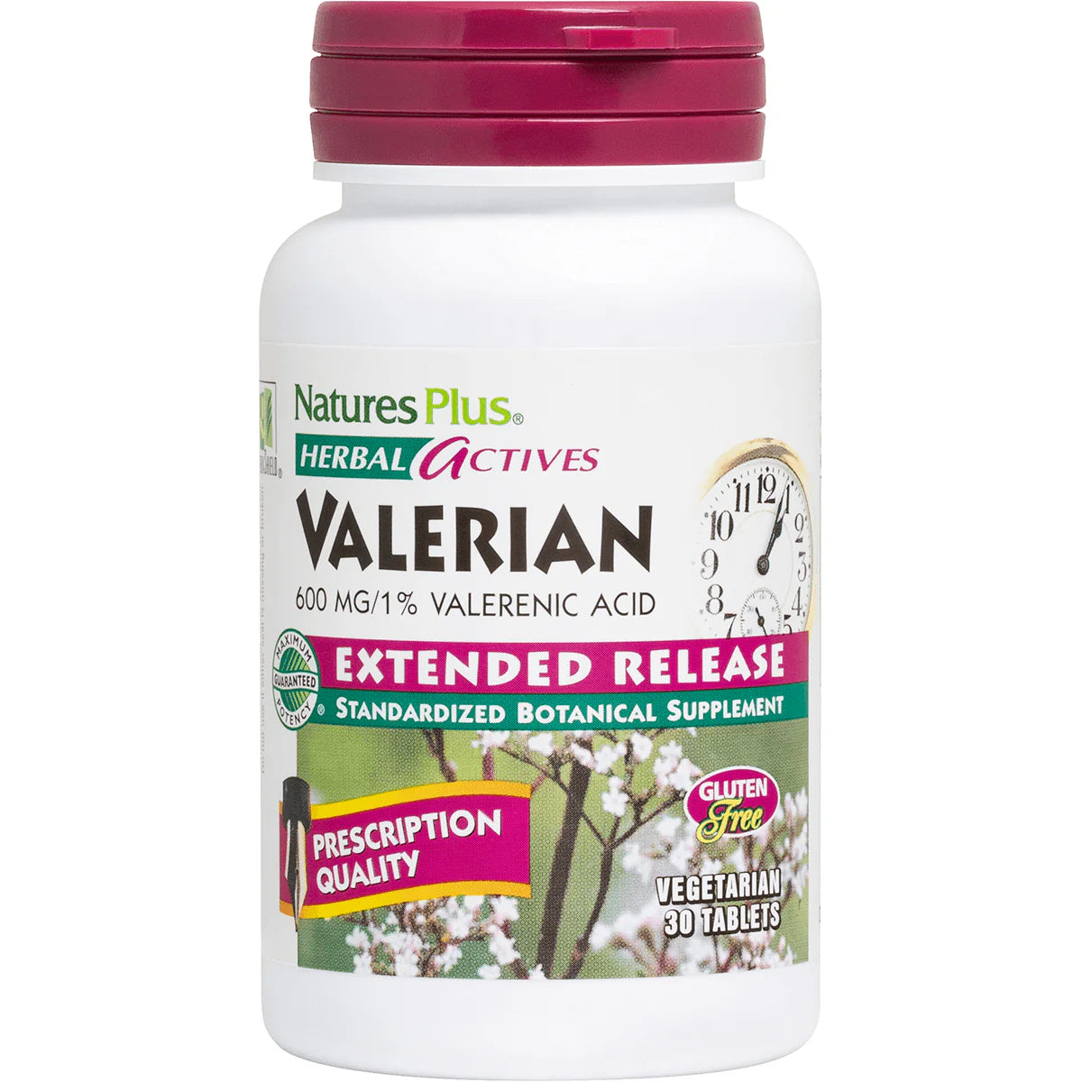 Herbal Actives Valerian - Extended Release