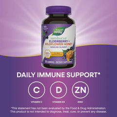 Sambucus Elderberry + Wildflower Honey Immune Gummy