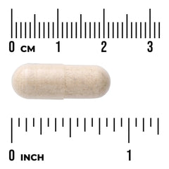 Full Spectrum 7 Mushroom Complex