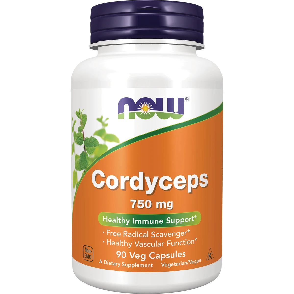 Cordyceps