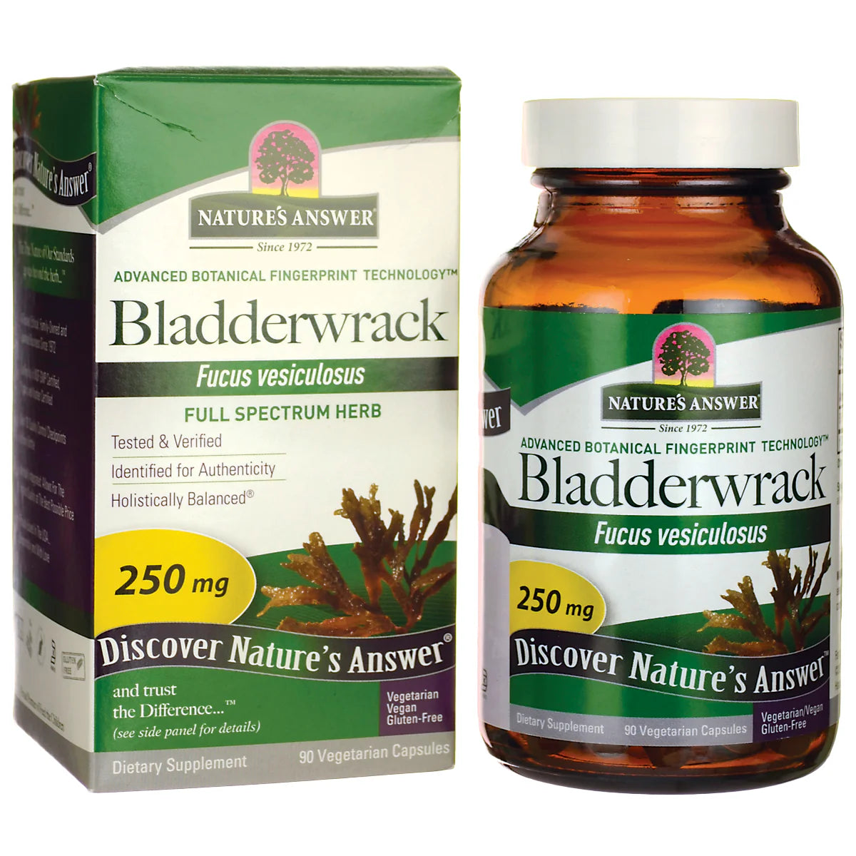 Bladderwrack