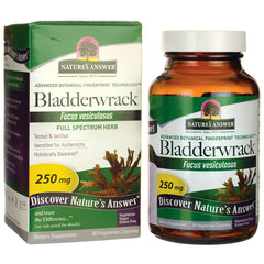 Bladderwrack