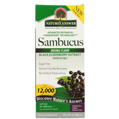 Sambucus Black Elderberry