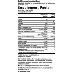 Healthy Brain ALA & BacoMind