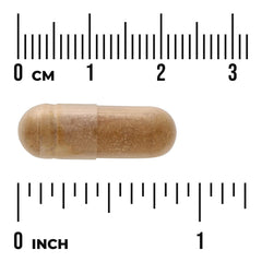Shilajit Extract - Standardized