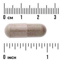 Beet Root Complex - Nitric Oxide Precursor Formula