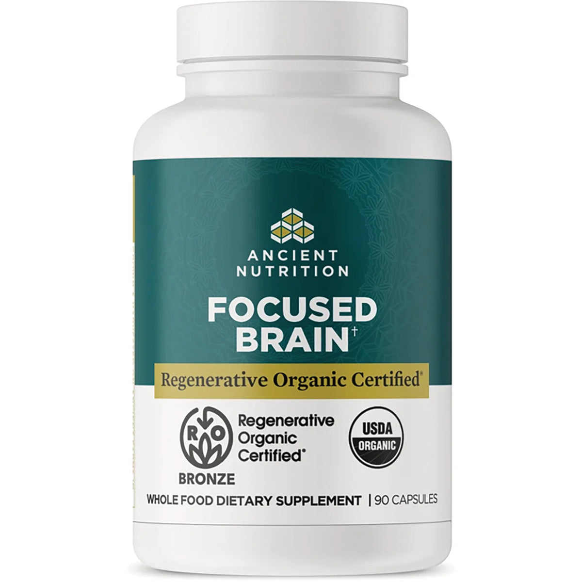 Focused Brain