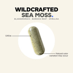 Sea Moss Wildcrafted