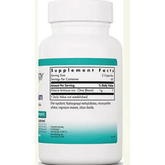 Mastic Gum
