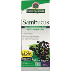 Sambucus Black Elderberry