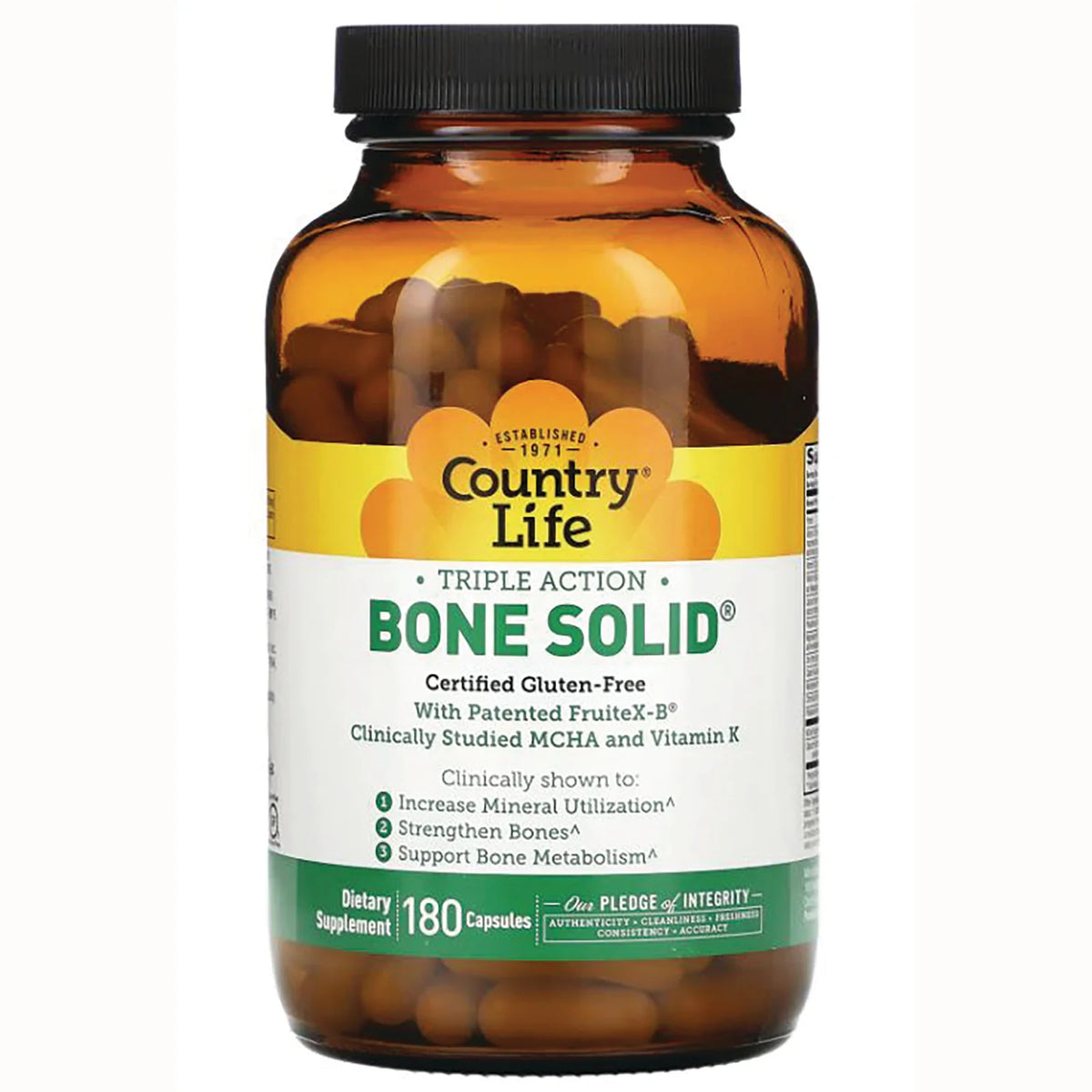Bone Solid