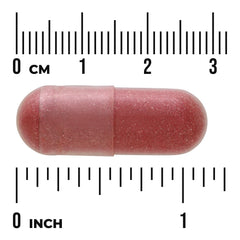 Urinary & Bladder Support
