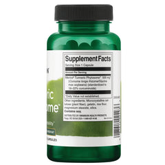 Turmeric Phytosome with Meriva