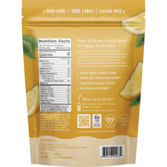 Daily Electrolyte Drink Mix - Lemonade